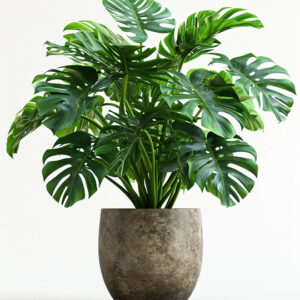 עציץ בטון מודרני